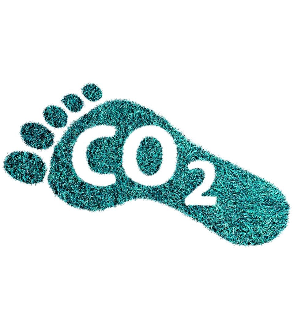 green footprint with the word CO2 in the middle